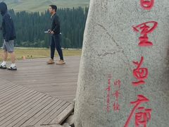 -俭寨大盘芦花土鸡·小公鸡·烧烤新疆菜(云通店)