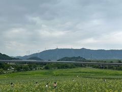 -光明小镇欢乐田园