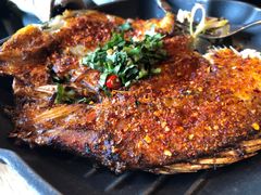 -云海肴·汽锅鸡·云南菜(天山百盛优客店)