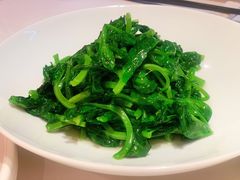 素炒豌豆尖-翠府(翠湖北路店)