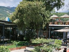 -蘇河湾·新鲁菜·泰山宴(泰山店)