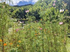 -MOJ coffee(瓯海泽雅水碓坑店)