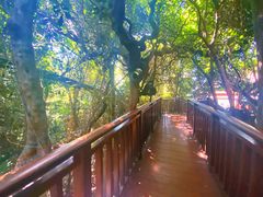 -亚龙湾热带天堂森林公园