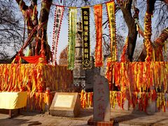 -大槐树寻根祭祖园