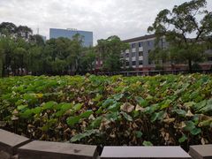 -四川大学(望江校区)