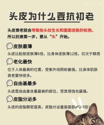 -Bollins波林丝•专研护发中心