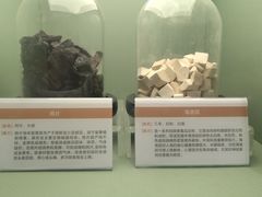 -岳阳市博物馆