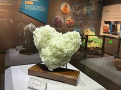 -湖南省地质博物馆