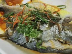 -日日香卤鹅饭店·澄海狮头鹅(澄海店)