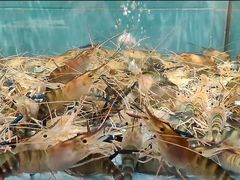 -富黎华海鲜大酒楼(正大广场店)