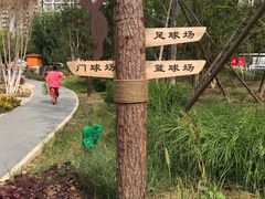 -回龙观体育文化公园