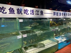水产区-胖姐渔村(中源大道店)