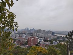 -福道