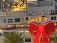 -润园四季椰子鸡火锅(海上世界店)