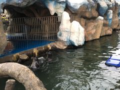 -华夏文旅海洋公园