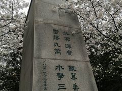 -武汉大学-樱园