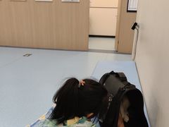 -萌兽医馆·犬猫专科·眼科中心·宠物医院(朝阳门分院)