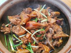 -霞姐屯昌枫木香草鸭店(海螺店)