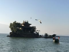 -小普陀