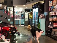 大堂-百好乐宠物友好餐厅(朝外大街店)