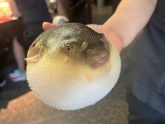 -永安鱼庄·镇江菜(东吴路店)