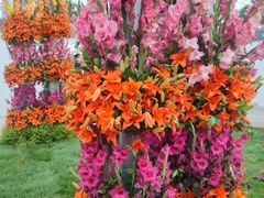 -凌源市热水汤百花谷