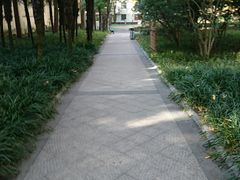 -徐家汇源景区-衡山公园