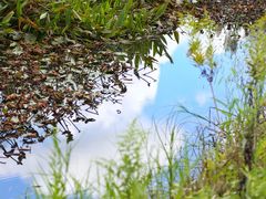 -东钱湖旅游度假区