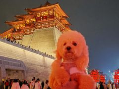 -起源小厨(应天门店)