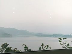 -望湖烤鱼