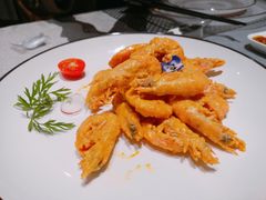 -蒲叙(凯天国际店)