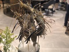 -阿杜打边炉(五江天街店)