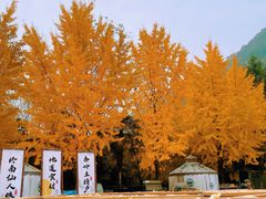 -西安祥峪森林公园