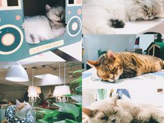 -小时光咖啡馆(北锣鼓巷店)