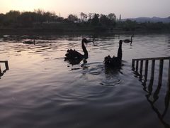 -三岔湖环球融创天堂洲际酒店水乐园