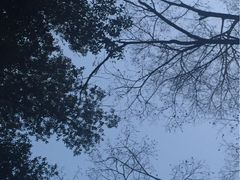 -热田神宫