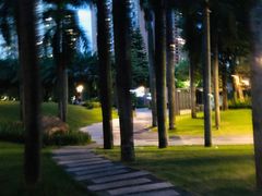 -四海公园(南山区)