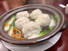 -丁老爷子苏香圆
