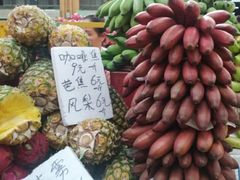 -三亚新鸿港水果一级批发市场
