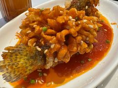 松鼠桂鱼-峨嵋酒家(地安门店)