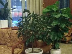-龙悦·澜泊湾SPA养生中心