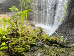 -新加坡飞禽公园