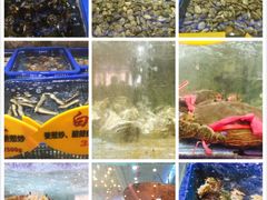 -快乐海鲜城(虎泉街店)