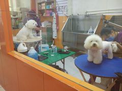 -惠康宠物医院(华能路店)