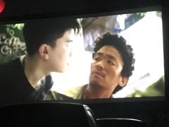-枫花园汽车电影院(朝阳公园店)