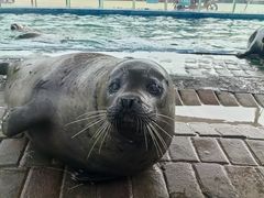 -北戴河圣蓝海洋公园