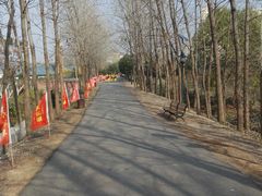 小路-扬州天乐湖嬉乐谷