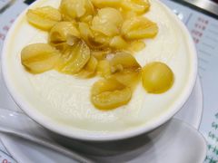 -义顺牛奶公司(新马路老店)