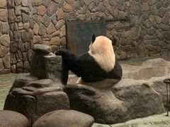-百谜机械解谜工场