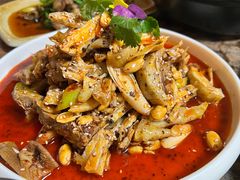 -青城甲(青城山店)